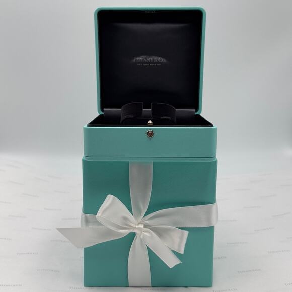 New Tiffany & Co Watch Jewelry Bracelet Presentation Storage Box Blue & Black - Picture 1 of 12